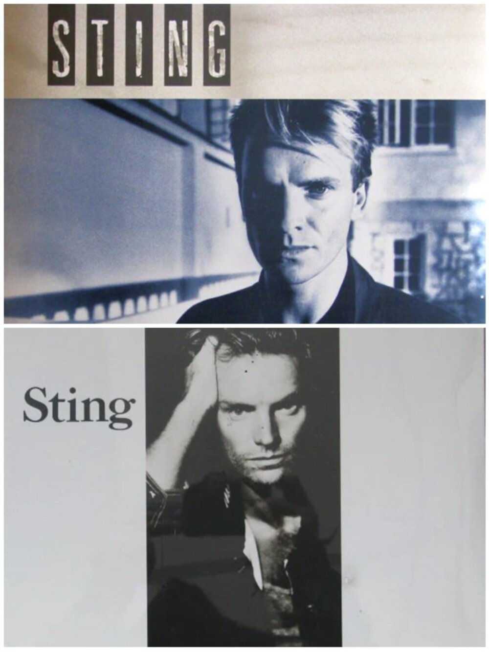 Lot Of 2 STING Vinyl Albums